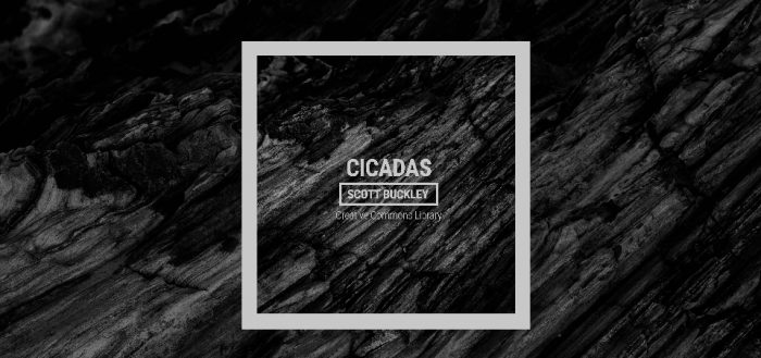 Cicadas — Scott Buckley